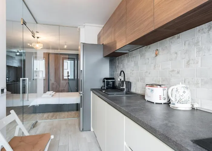 Kondo Studio I Roka Residence, Timpuri Noi Apartament